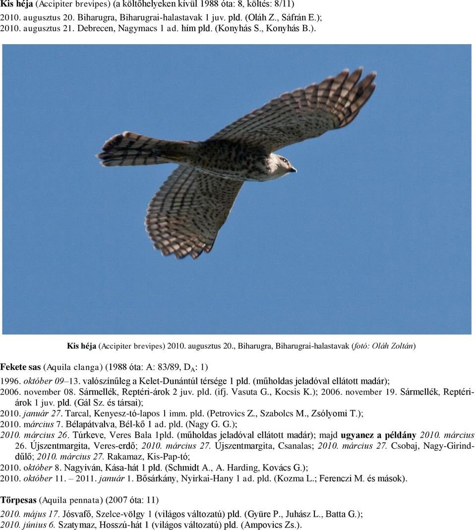 , Biharugra, Biharugrai-halastavak (fotó: Oláh Zoltán) Fekete sas (Aquila clanga) (1988 óta: A: 83/89, D A : 1) 1996. október 09 13. valószínűleg a Kelet-Dunántúl térsége 1 pld.