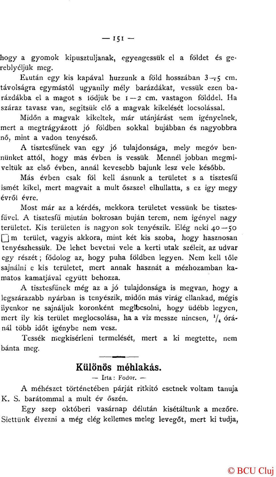 Midőn a magvak kikeltek, már utánjárást nem igényelnek, mert a megtrágyázott jó földben sokkal bujábban és nagyobbra nő, mint a vadon tenyésző.