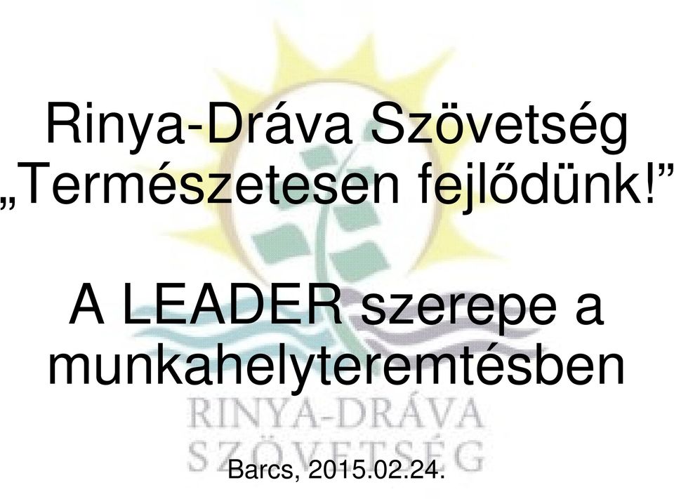 A LEADER szerepe a