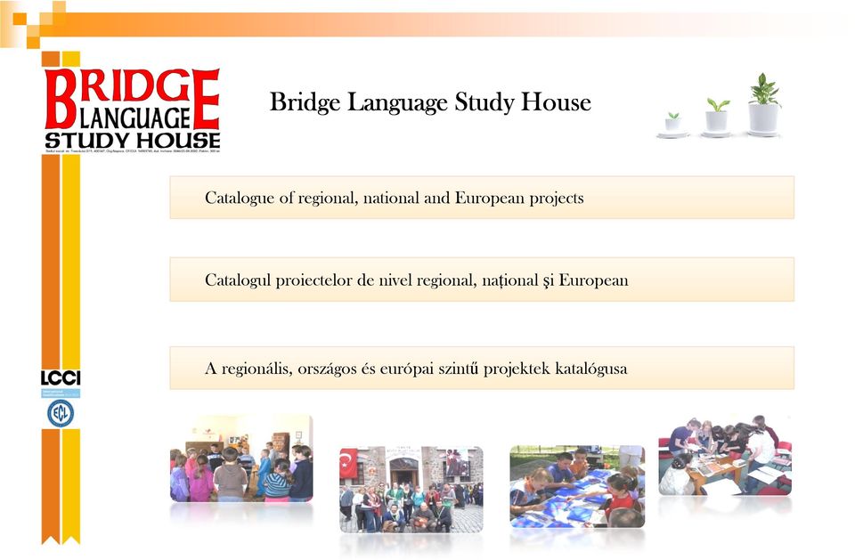 proiectelor de nivel regional, naţional şi European