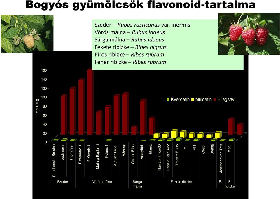 160 140 120 100 80 60 Kvercetin Miricetin Ellágsav mg/100 g 40 20 0 Chachanska Brestna Loch ness Thornfree F zamatos 1 F Karmin 1 Malling