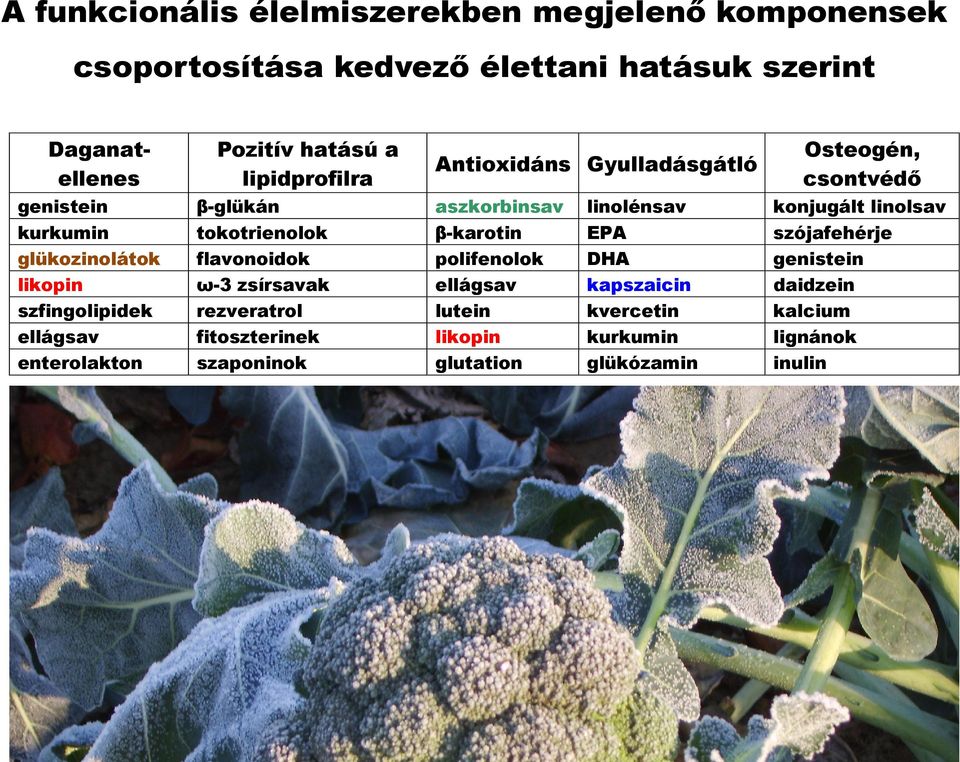 rezveratrol fitoszterinek szaponinok Antioxidáns Gyulladásgátló aszkorbinsav β-karotin polifenolok ellágsav lutein likopin glutation