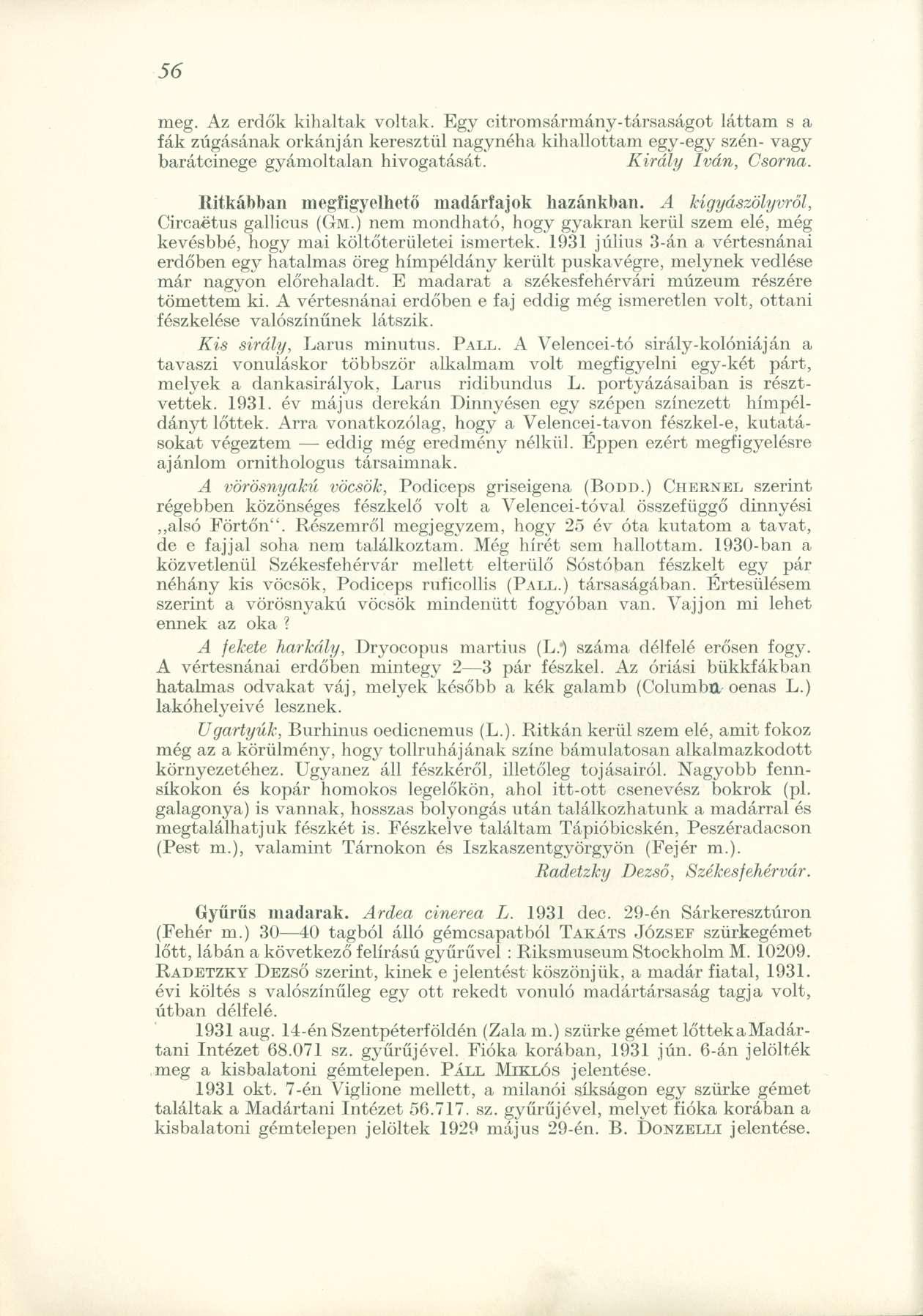 meg. Az erdők kihaltak voltak. Egy citromsármány-társaságot láttam s a fák zúgásának orkánján keresztül nagynéha kihallottam egy-egy szén- vagy barátcinege gyámoltalan hivogatását.