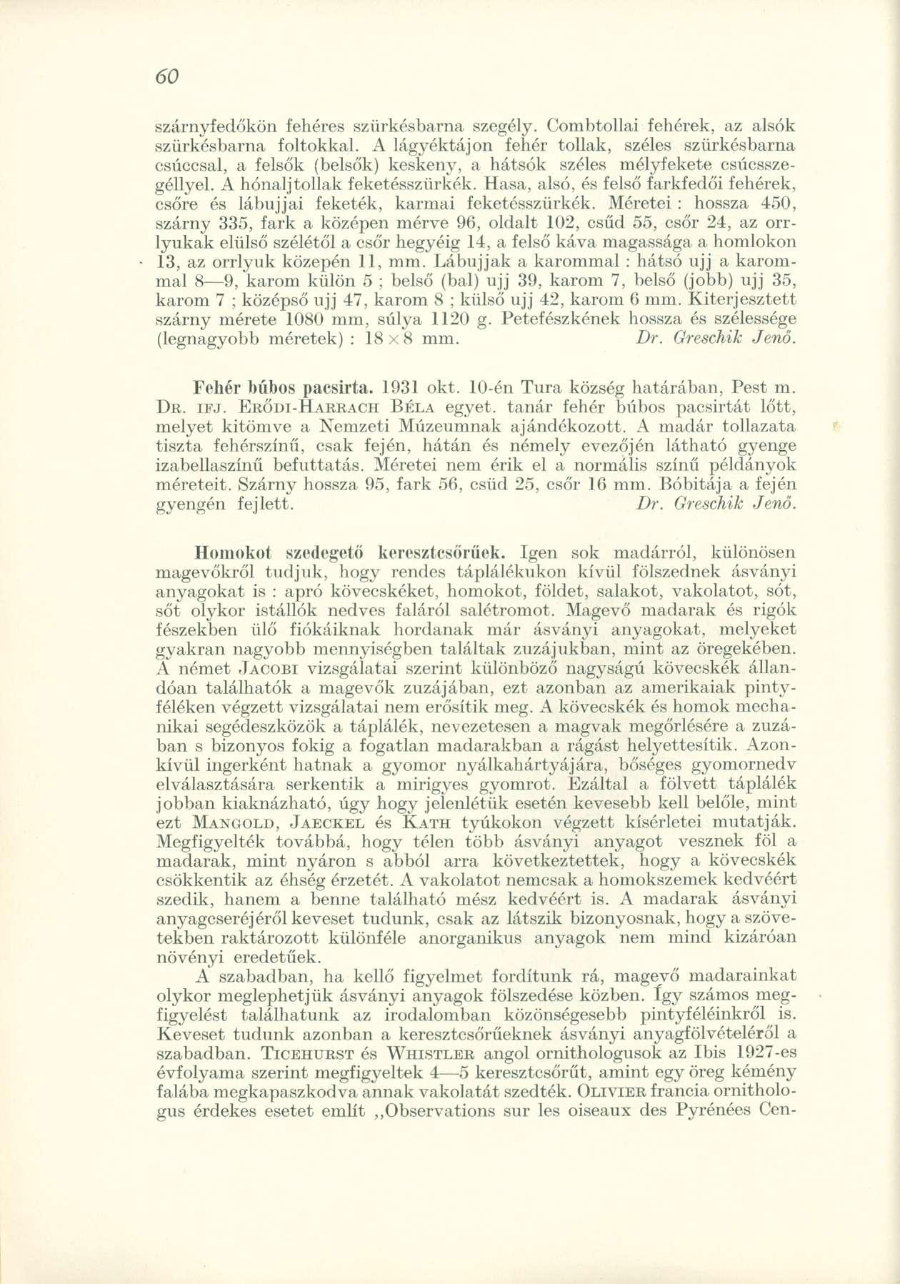 szárnyfedőkön fehéres szürkésbarna szegély. Combtollai fehérek, az alsók szürkésbarna foltokkal.