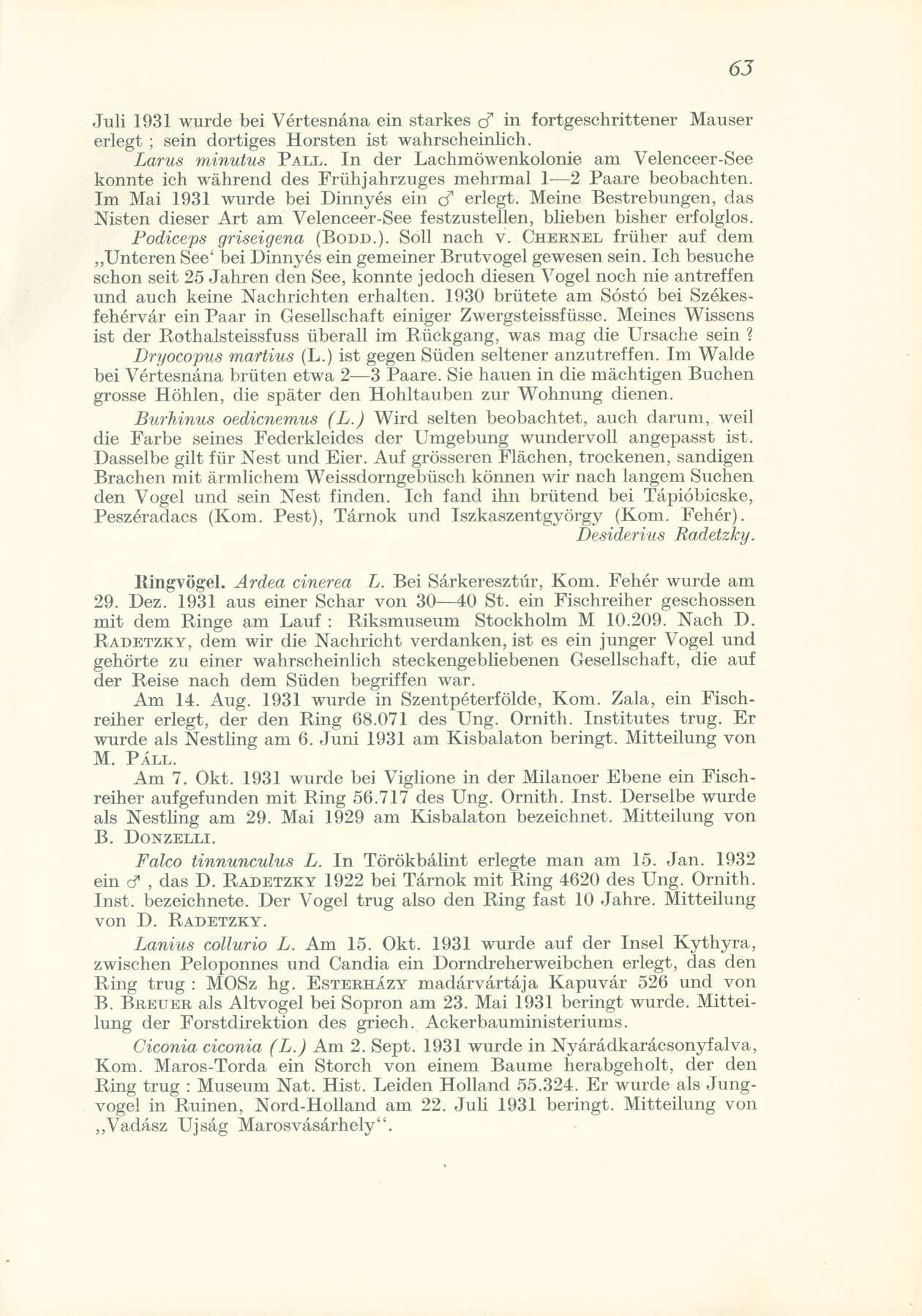 Juli 1931 wurde bei Vértesnána ein starkes rf in fortgeschrittener Mauser erlegt ; sein dortiges Horsten ist wahrscheinlich. Larus minutus PALL.