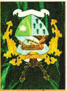 Seite 2 Nr. 11.