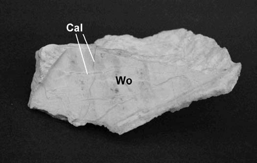 98 Fehér Béla és Sajó István 8. ábra. A wollastonitos szkarn vágási felületén jól láthatók a mm-es vastagságú tömör kalciterek. A példány hosszúsága: 11 cm. Fotó: Kulcsár G.