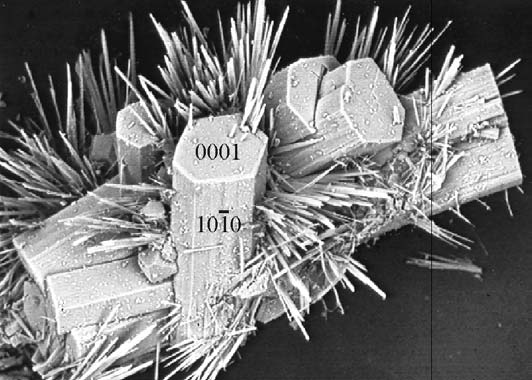 104 Fehér Béla és Sajó István 11. ábra. Oszlopos, hatszöges taumazitkristályok, melyekre feltehetően okenit szálas aggregátumai nőttek rá. Pásztázó elektronmikroszkópos felvétel.