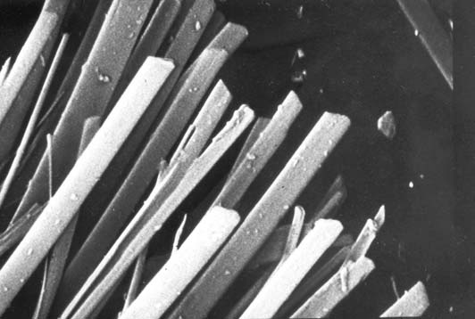 110 Fehér Béla és Sajó István 16. ábra. Ismeretlen, víztartalmú Ca-szilikát ásvány (SzH2 minta) sugaras-gömbös aggregátumai, kalciton. Képszélesség: 1 cm. Fotó: Szakáll S. Fig. 16. Radial-globular aggregates of an unknown, hydrated Casilicate mineral (SzH2 sample) on calcite.