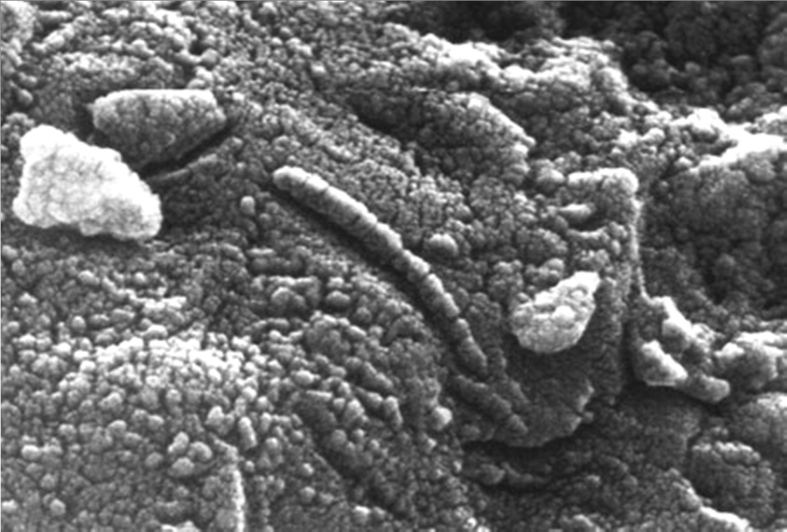 Marsi meteoritok Pásztázó elektronmikroszkópos (SEM) felvételek, ALH84001 meteorit.