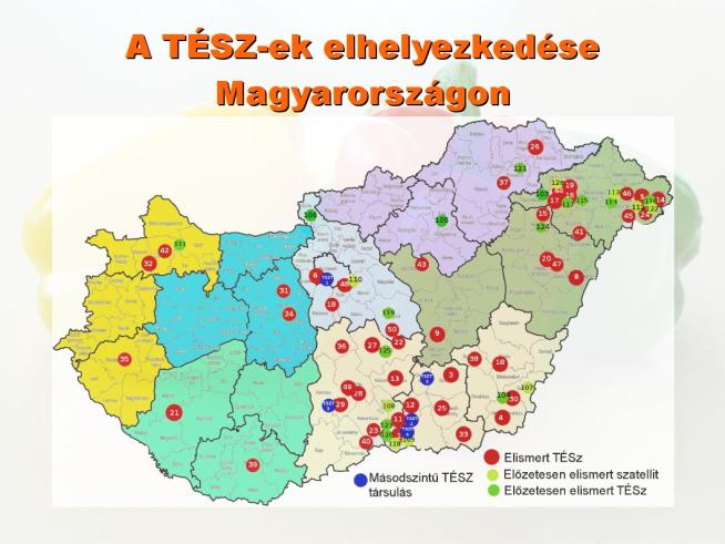 terület (ezer ha) termésátlag (t/ha) TÉSZ-ek Magyarrszágn 1998 Első TÉSZ - Kvalikó Szövetkezet, 2002-2004 több mint 100 TÉSZ alakult 2004. május 1.-ig magas támgatás Jelenleg (2014. 03. 31.