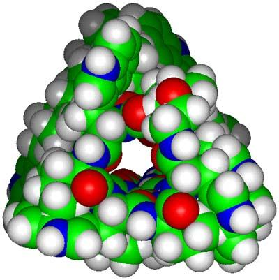 gramiidin CCCP (karbonilianid-m-klor-fenil-hidrazon) FCCP: