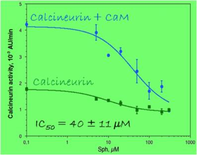 Kalmodulin kölcsönhatása szfingozinnal Affinitás + sztöchiometria 1. process 2. process Sph : CaM ~300 : 1 ~ 30 : 1 Kd 4.2 ± 2.6 nm 0.13 ± 0.