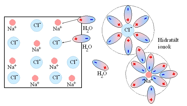 Kísérleti rész 4.8. A kísérő hidratált kation átmérőjének hatása az anion áteresztésére Amikor szilárd NaCl-ot oldunk vízben, a NaCl szabályos háromdimenziós rácsszerkezete szétesik ionokra.