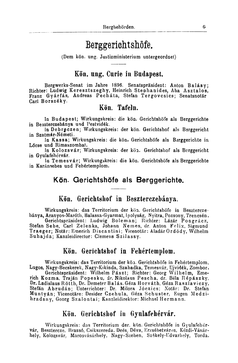 Bergbehörden. 10 Berggeriohtsliöfe. (Dem kön. ung. Justizministerium untergeordnet) Kön. ung. Curie in Budapest. Bergwerks-Senat im Jahre 1896.