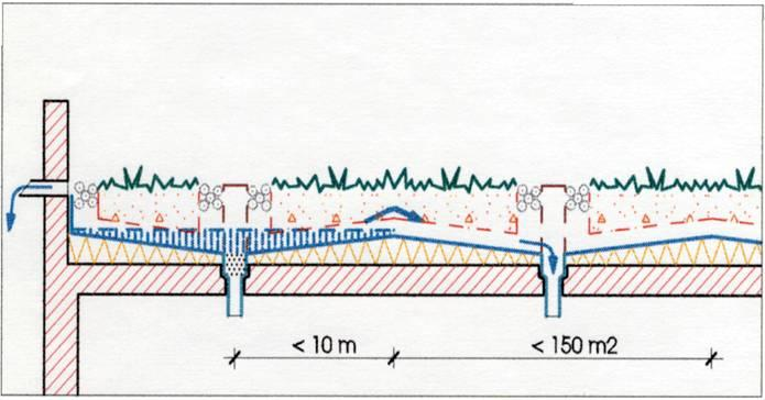 ZÖLDtetők vízelvezetése növényzettel telepített