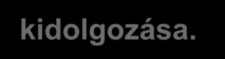 Az OTKA-pályázatban kitűzött célok (2007. szept.