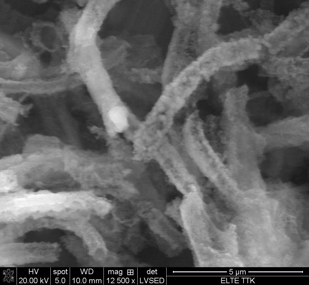 Biofilm minták vizsgálata: eredmények As, 2.13 C; 11,78 Fe, 23.