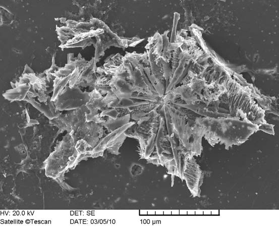 Oldódási kísérlet - eredmények előtte 4 hónap után dissolution experiment set-up biofilm bevonat Mi