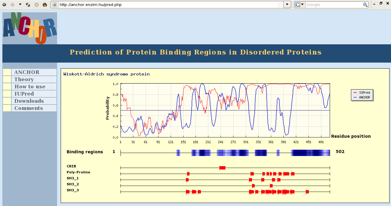 Eredmények és Diszkusszió 1. ábra: Az ANCHOR szerver grafikus kimenete egy példa fehérjére Bementként a humán Wiskott-Aldrich Szindróma fehérjét használtam, motívum kereséssel együtt.