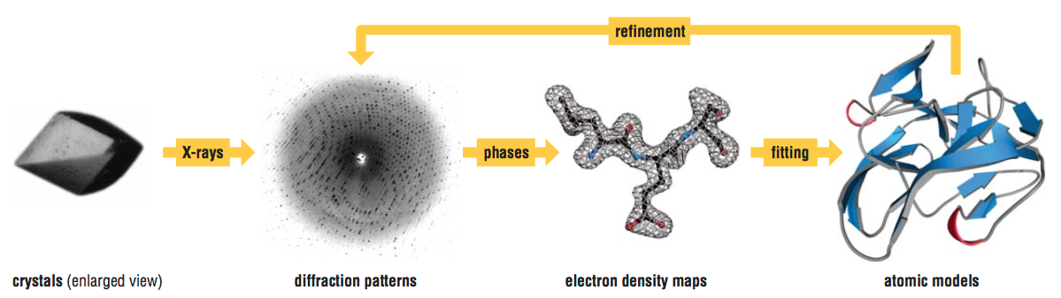 X-ray vs NMR a