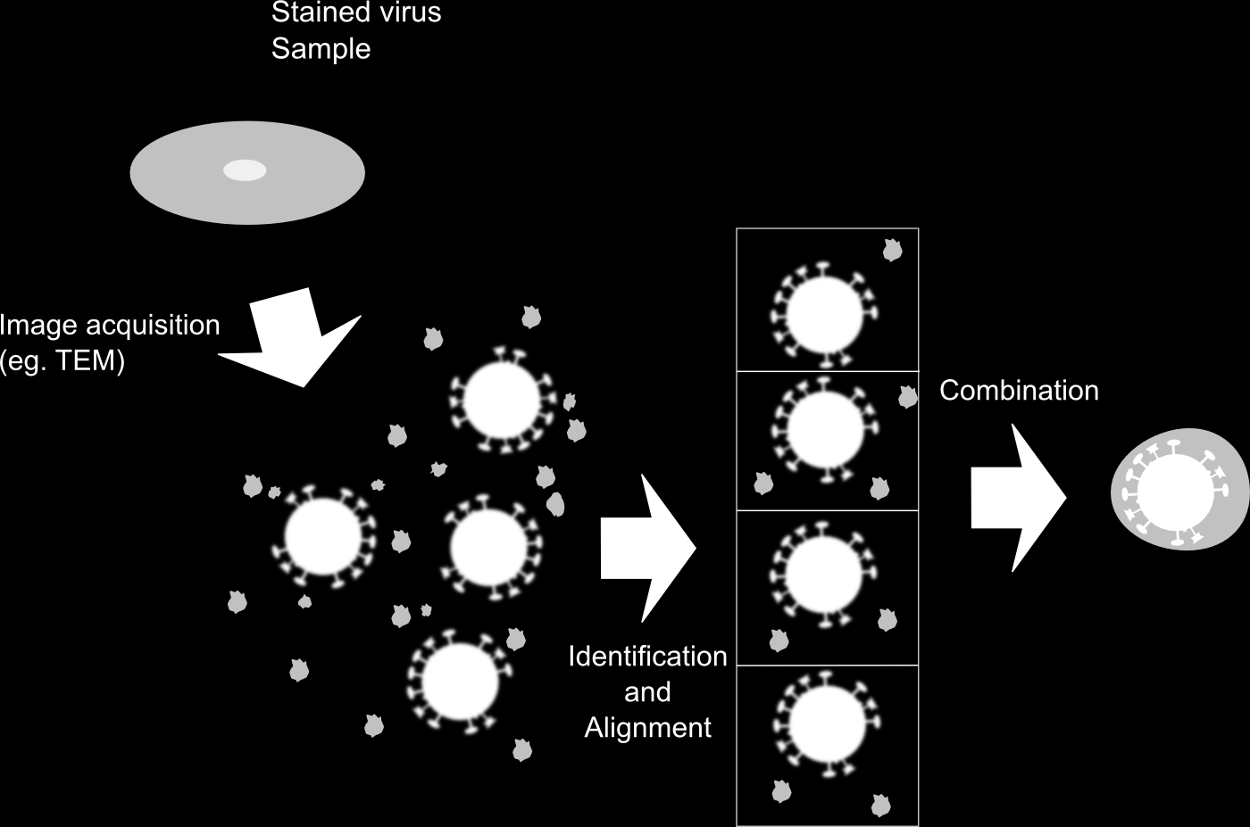 Cryo-EM a