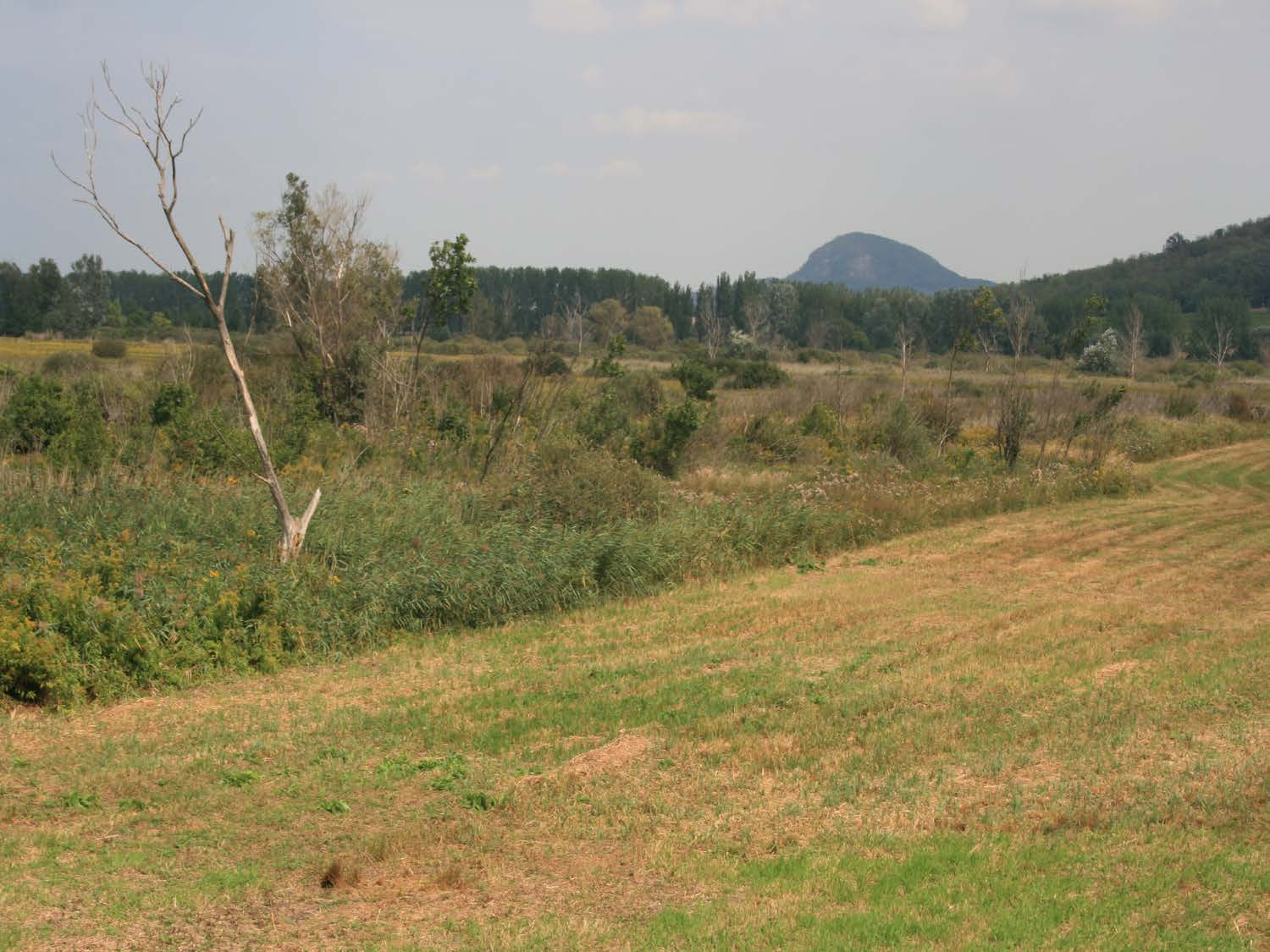 Natura 2000 fenntartási tervek készítése Natura Honlap: www.bfnp.hu 2000 fenntartási zalanatura2000@gmail.com tervek készítése Honlap: www.bfnp.hu zalanatura2000@gmail.