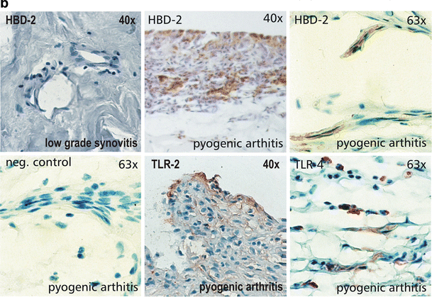 J Pathol.