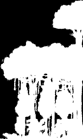 802.1s: CST, IST, MST Sok fa Belső nézet Root CST Külső nézet Root M IST B C D MST MST Region D CST 802.1Q Common SPT => Egyetlen fa IST 802.