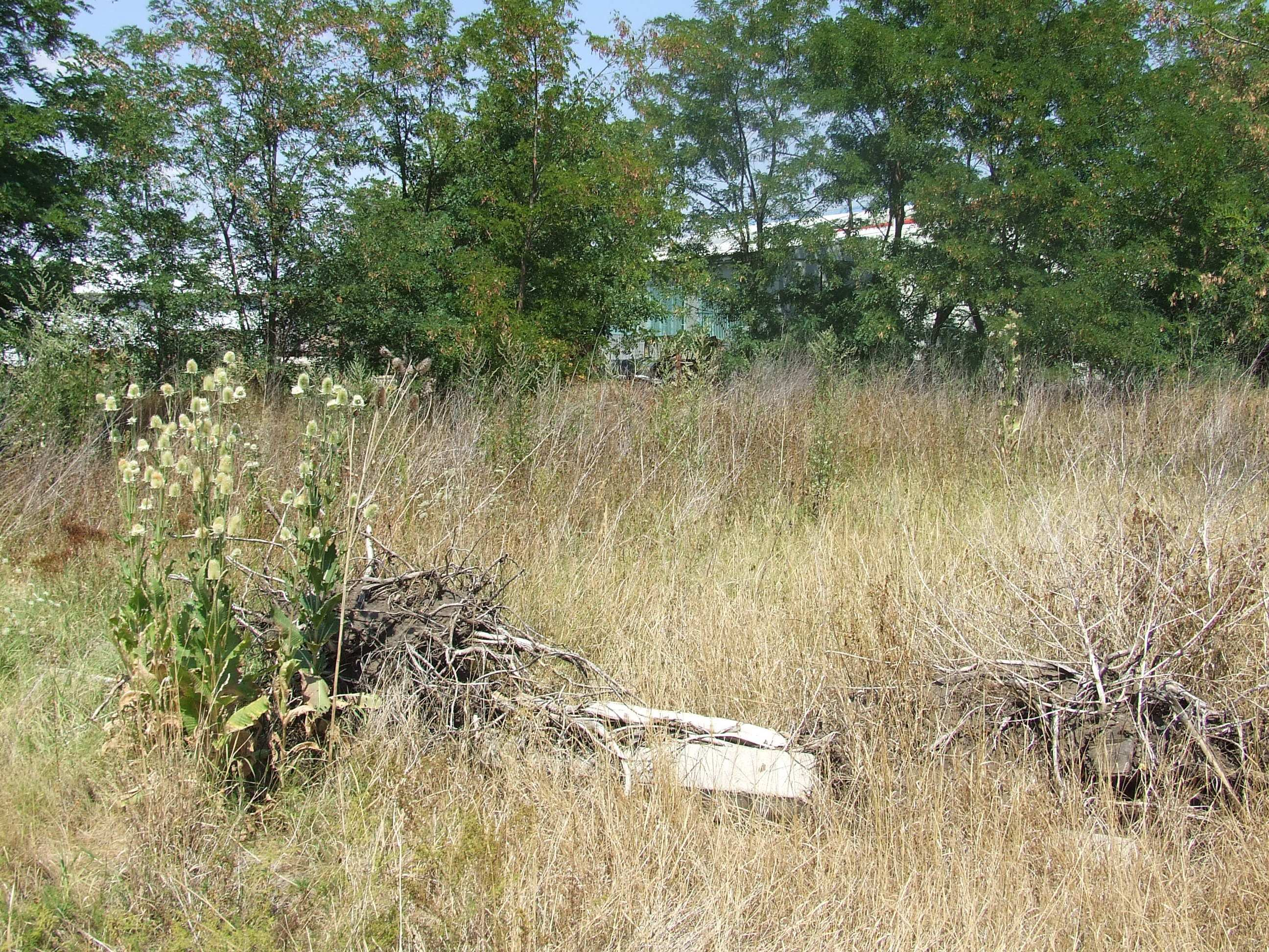 3. fotó A cibakházi Kettıs-halom geomorfológiai, tájképi és növénytani szempontból a Tiszazug legértékesebb kunhalmai