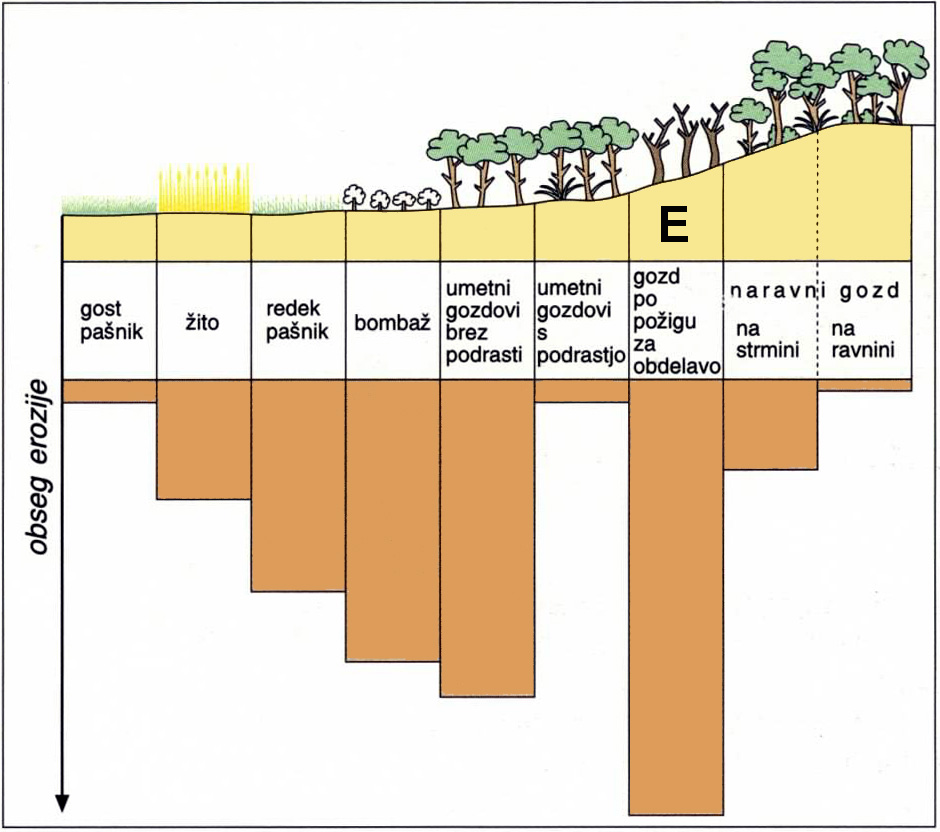8 M062-501-1-1M 9. Graf 1 prikazuje obseg erozije med posameznimi zemljiškimi kategorijami v neki kulturni pokrajini. Opišite dva vzroka, ki vplivata na močnejšo erozijo na območju E. Graf 1 Az 1. sz.