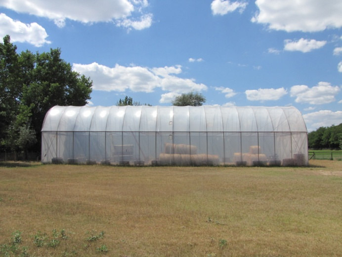 Fóliasátor / Tároló csarnok A területen a lakóházak közelében egy 12 x 32 x 7m nagyságú kb.