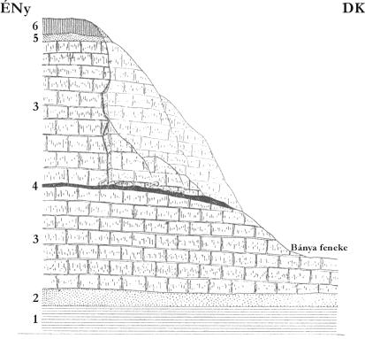 45. ábra A Tar-kői-kőfülke metszetének vázlata (JÁNOSSY, 1979) Az alsó (2 18) rétegek színe a sötétvöröstől (alul) a sárgásig (felül) változik, kifagyott kövekkel, cseppkövekkel, az 1.