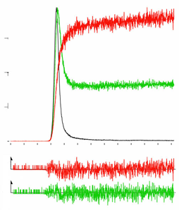 4.1. ábra: N-fenilpirrol fluoreszcencia-lecsengése -45 o C-on acetonitrilben (a) propionitrilben (b) és butironitrilben (c).