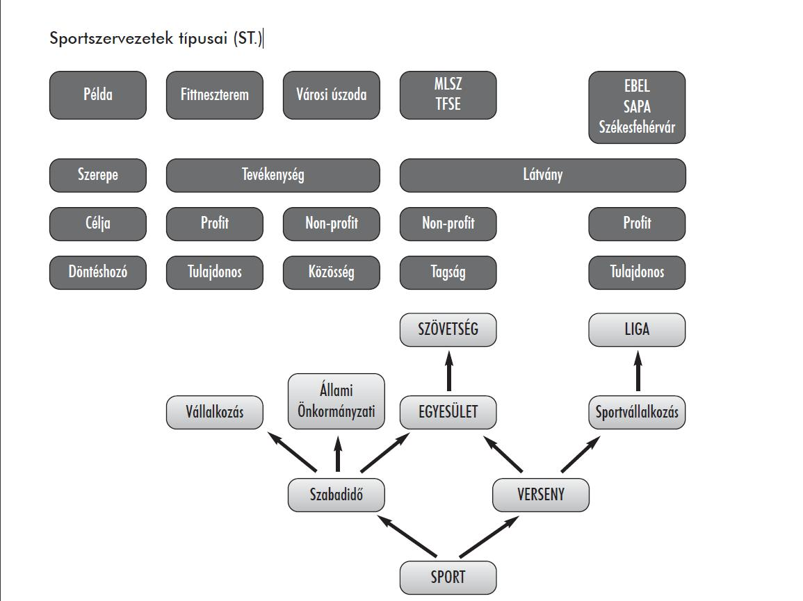 1. ábra: Sportszervezetek típusai (Sterbenz Géczi szerk.