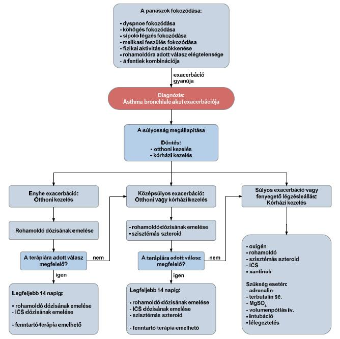 kilégzés végén 8 Pulzus/perc < 100 100-120 > 120 bradycardia 9 Pulzus paradoxus nincs < 10 Hgmm jelen lehet 10-25 Hgmm gyakran > 25 Hgmm hiánya jelzi a légzőizmok kifáradását 10 Hörgtágító utáni PEF