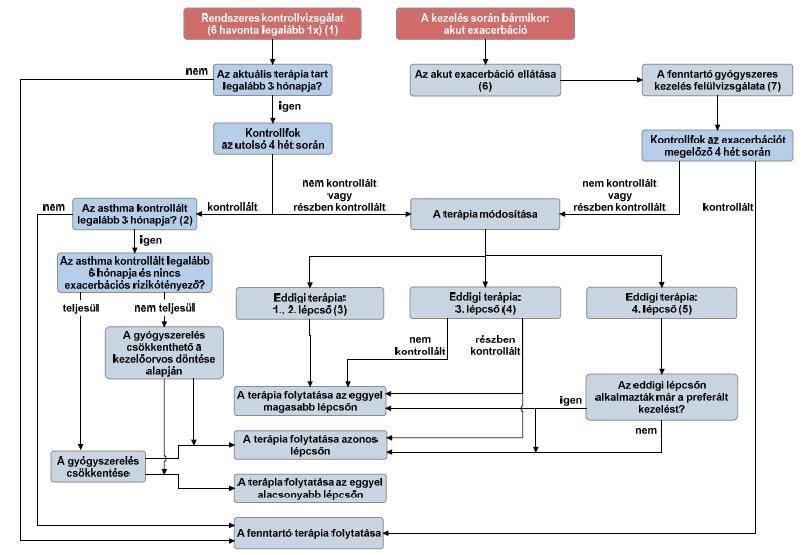 6. Az asthma bronchiale gyógyszeres kezelése kontrollfokhoz történő igazításának algoritmusa A gyógyszeres kezelés kontrollfokhoz történő igazításának algoritmusában szereplő döntések tartalmát és a