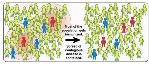 Herd-immunitás Egészséges, nem immunizált Senki nincs oltva A fogékonyak nagy része beteg lesz Egészséges és immunizált Csak néhányan oltottak A fogékonyak betegek lesznek Sokan védettek A fertőző