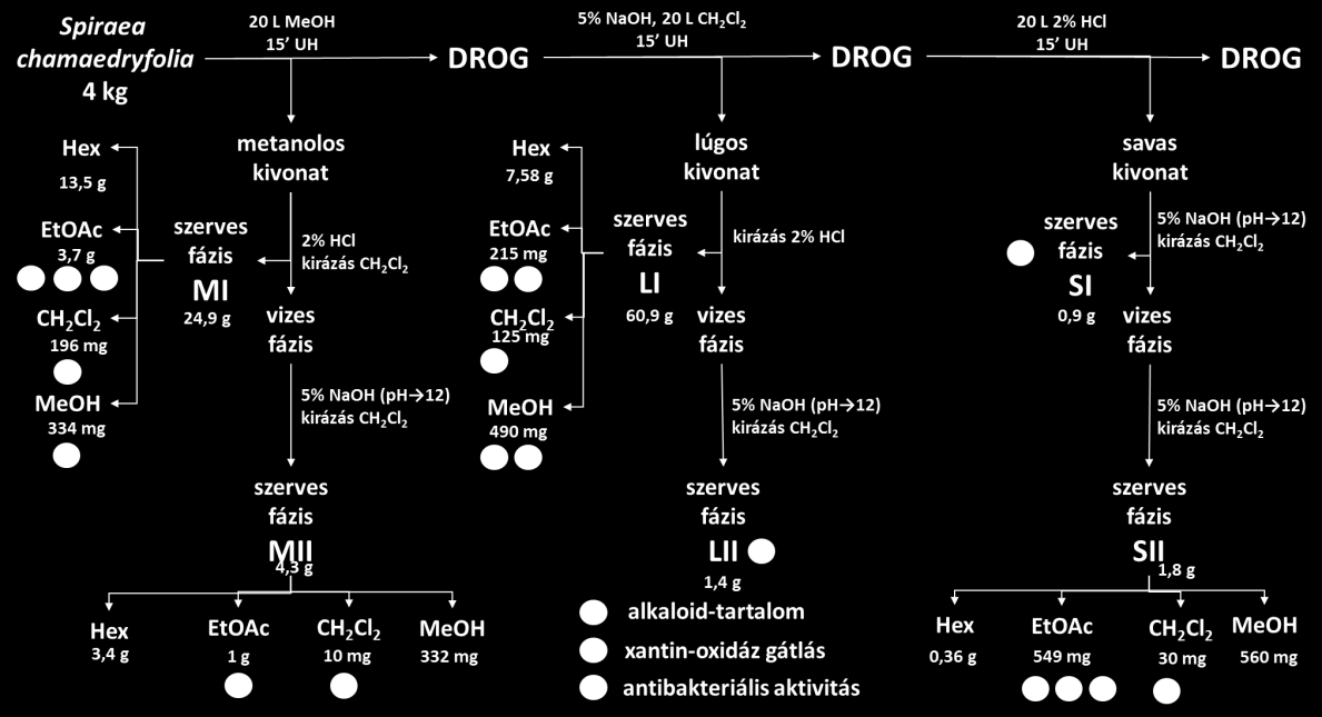ÖSSZEFOGLALÁS A diterpén-alkaloidok kedvező farmakológiai aktivitása miatt ígéretesnek bizonyul újabb, kevésbé kutatott diterpén-alkaloidokat tartalmazó növényi taxonok vizsgálata.