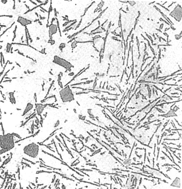 Al-Si (~5 % Si) öntött Primér Al dendritek + tűs Al-Si eutektikum N:100X Al-Si (~13 % Si)