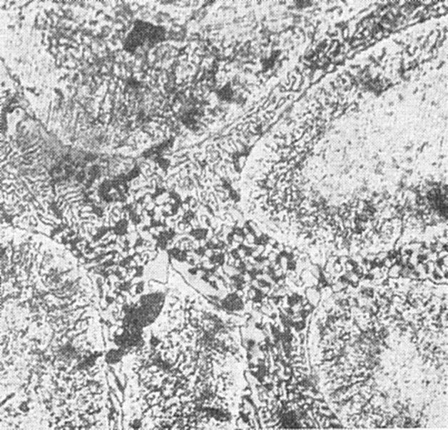 Al-Cu-Mg ötvözet Al-Cu-Mg (~10 % Cu, ~2 %Mg) lassan lehűlt Primér Al dendritek a peremükön szegregrátummal és részben binér Al-CuAl 2 eutektikummal és részben ternér Al-CuAl 2 - CuMgAl 2