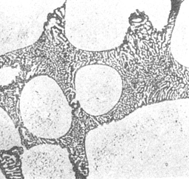 Al-Cu-Mg (~6 % Cu, ~6 %Mg) öntött Primér