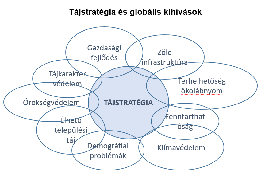 Közérthető összefoglaló Tekintettel arra, hogy az elkészült NTS kiindulópontot jelent az elfogadott tervek, koncepciók későbbi módosításánál, továbbá új tervek, stratégiák kidolgozásánál a környezeti