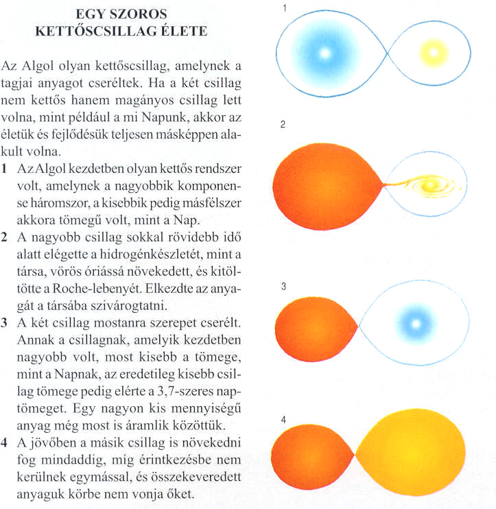 3.50. ábra: Az Algol paradoxon: a kisebb tömegű komponens előrébb tart a fejlődésben (Mitton & Mitton 1998).