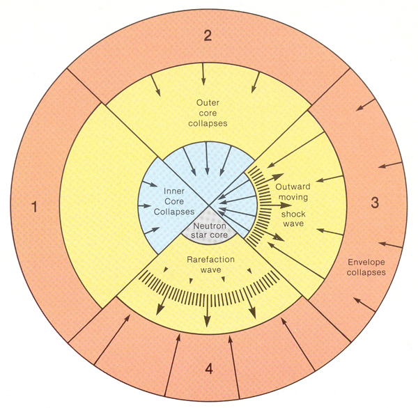 majd hatalmas lökéshullámokat keltve visszaverődnek róla és nagy sebességgel szétszóródnak. 3.73. ábra: Az SN II kollapszus négy fázisa.
