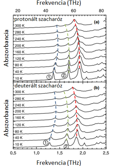 4. Biomolekulák terahertzes spektroszkópiája vonalak pedig a spektrumban azonosíthatók. A szacharóznál is tapasztalható az alacsonyabb frekvenciák felé való eltolódás amit a szaknyelv a 72.