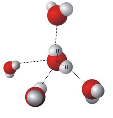 4. Biomolekulák terahertzes spektroszkópiája ben) egyedi spektruma alapján különböző keverékek összetétele THz-es spektroszkópiai módszerrel meghatározható.