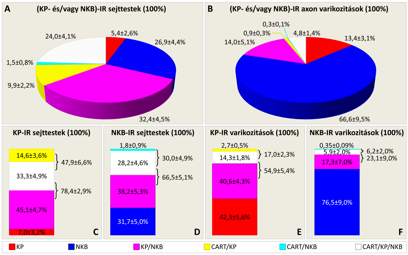 KP-t, 6,2±2,0%-a tartalmazott CART jelet, és 5,9±2,0%-a volt hármas-jelölt (9. ábra, F). 9.