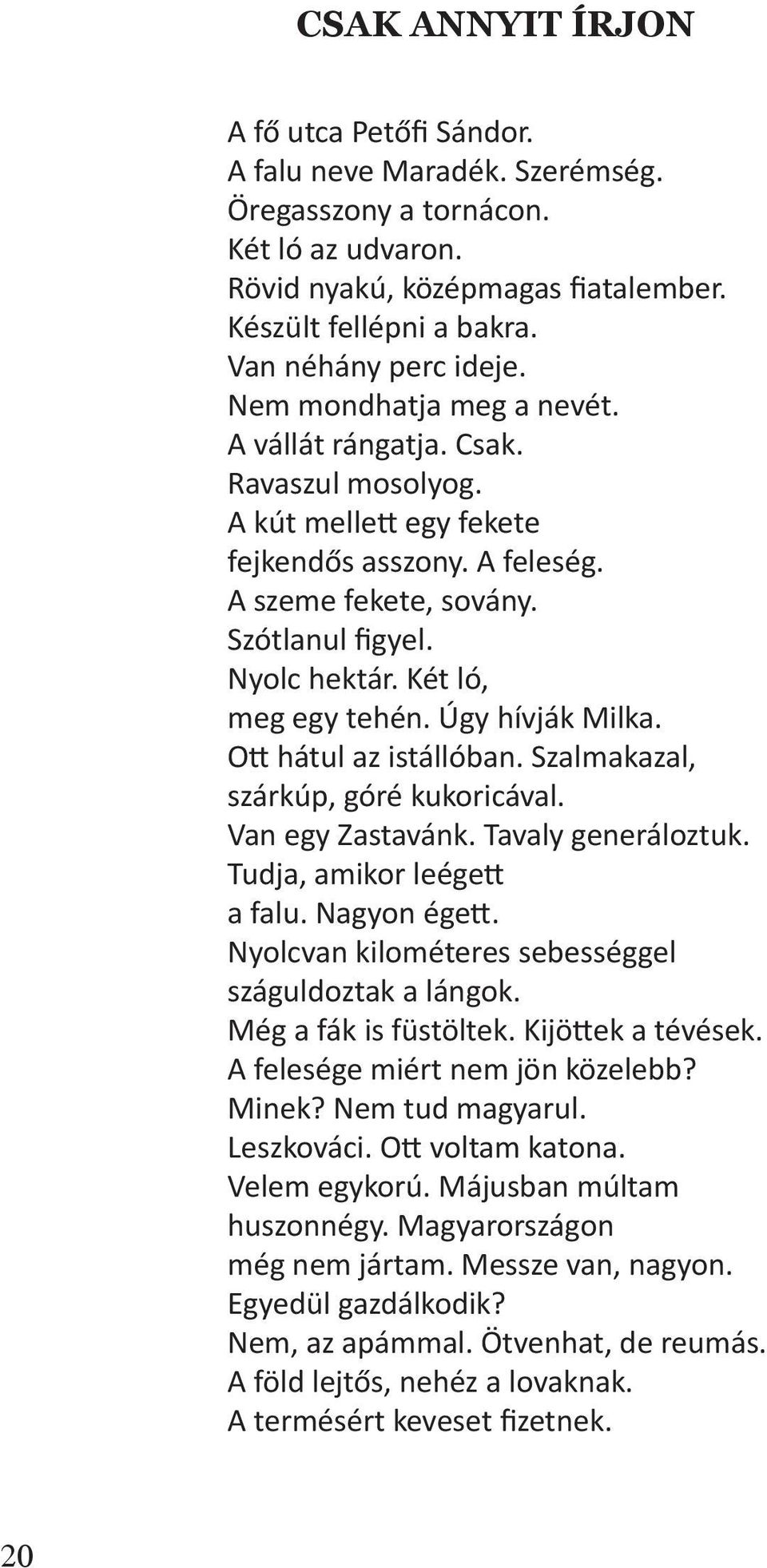 Nyolc hektár. Két ló, meg egy tehén. Úgy hívják Milka. Ott hátul az istállóban. Szalmakazal, szárkúp, góré kukoricával. Van egy Zastavánk. Tavaly generáloztuk. Tudja, amikor leégett a falu.