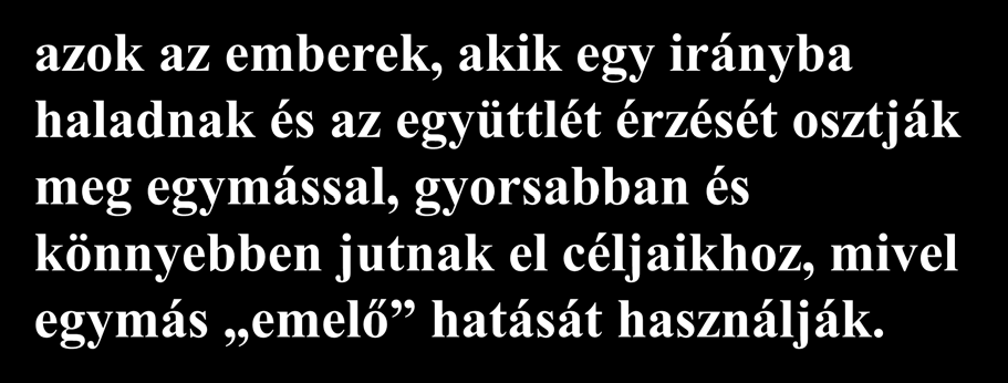 1. tény: Minden egyes madár szárnycsapása a következő madár számára olyan légmozgást teremt, amely emelő hatású.